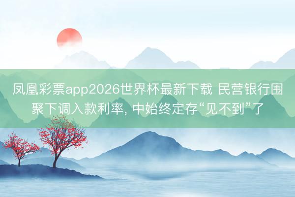 凤凰彩票app2026世界杯最新下载 民营银行围聚下调入款利率, 中始终定存“见不到”了