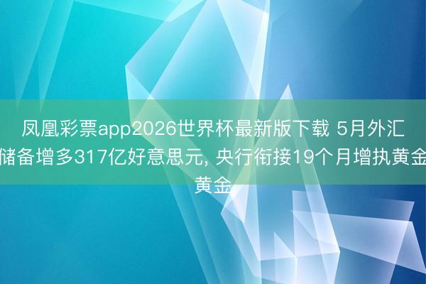 凤凰彩票app2026世界杯最新版下载 5月外汇储备增多317亿好意思元， 央行衔接19个月增执黄金