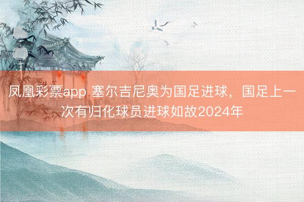 凤凰彩票app 塞尔吉尼奥为国足进球，国足上一次有归化球员进球如故2024年