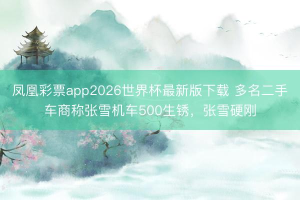 凤凰彩票app2026世界杯最新版下载 多名二手车商称张雪机车500生锈，张雪硬刚