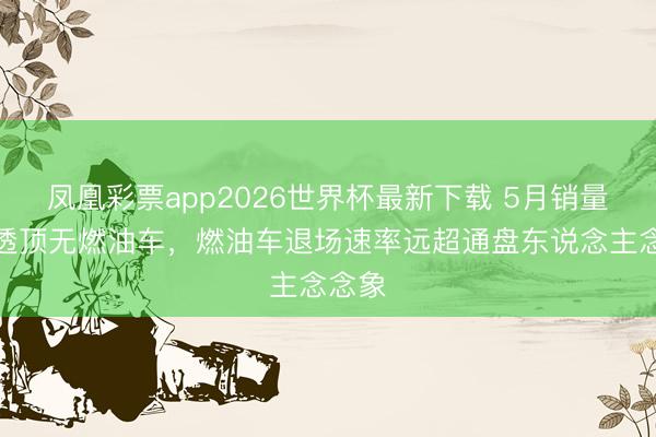 凤凰彩票app2026世界杯最新下载 5月销量前十透顶无燃油车,燃油车退场速率远超通盘东说念主念念象