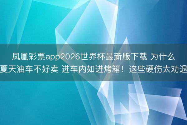 凤凰彩票app2026世界杯最新版下载 为什么夏天油车不好卖 进车内如进烤箱！这些硬伤太劝退