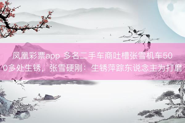 凤凰彩票app 多名二手车商吐槽张雪机车500多处生锈，张雪硬刚：生锈萍踪东说念主为打磨