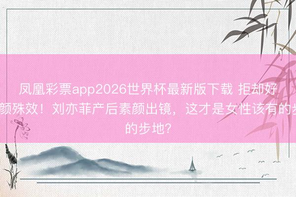 凤凰彩票app2026世界杯最新版下载 拒却好意思颜殊效！刘