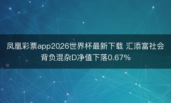 凤凰彩票app2026世界杯最新下载 汇添富社会背负混杂D净值下落0.67%