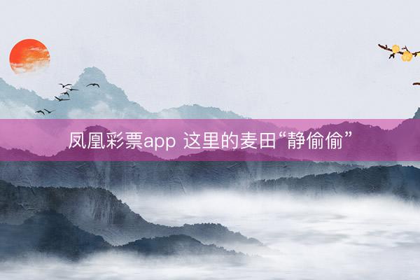 凤凰彩票app 这里的麦田“静偷偷”