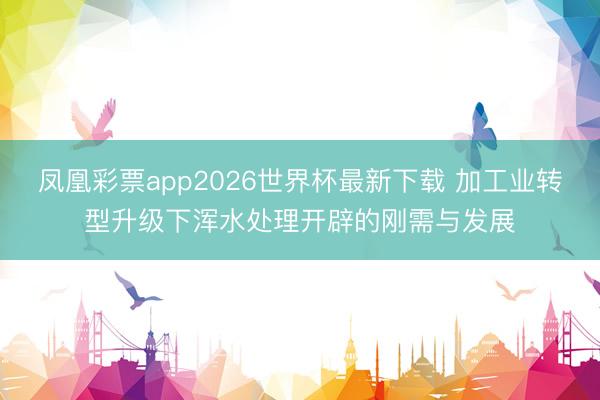 凤凰彩票app2026世界杯最新下载 加工业转型升级下浑水处理开辟的刚需与发展