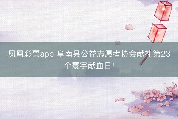 凤凰彩票app 阜南县公益志愿者协会献礼第23个寰宇献血日!