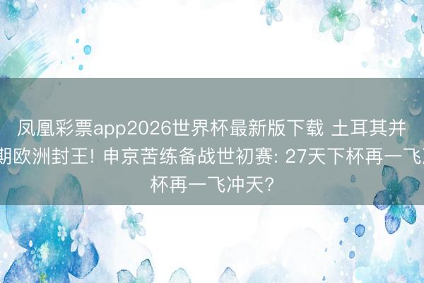 凤凰彩票app2026世界杯最新版下载 土耳其并吞三期欧洲封王! 申京苦练备战世初赛: 27天下杯再一飞冲天?